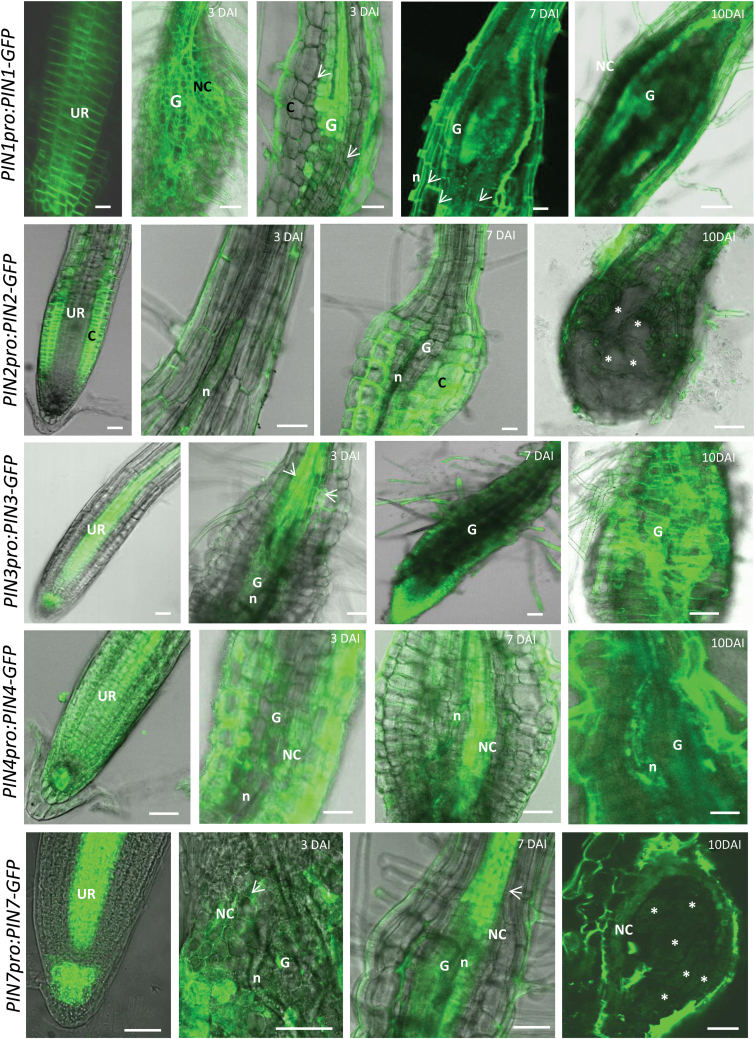 Fig. 3.