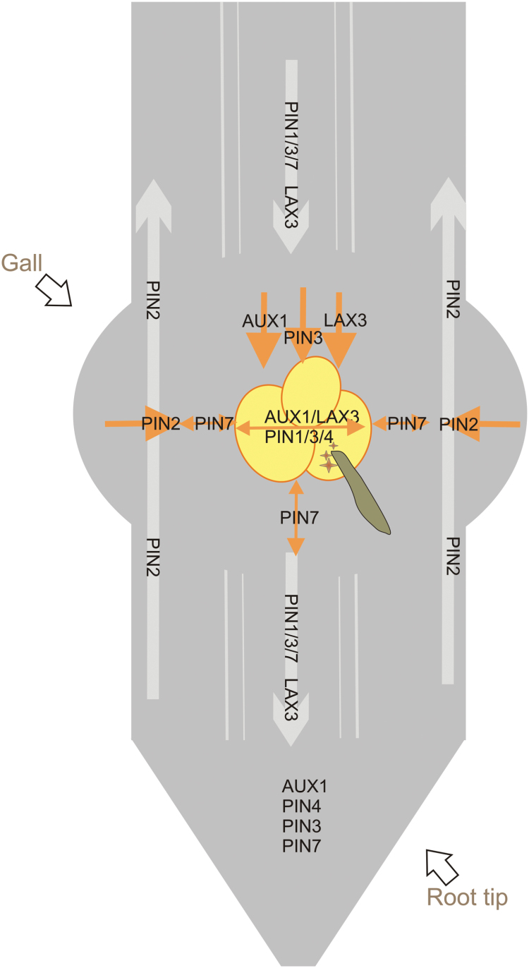 Fig. 6.