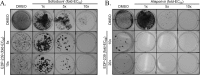 FIG 3