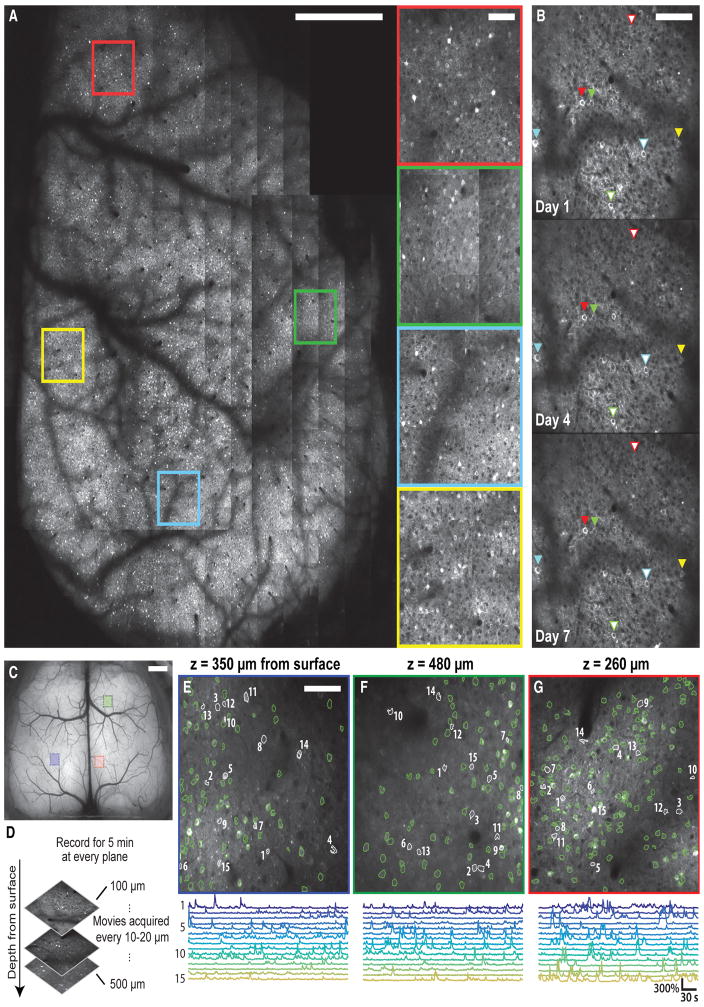 Figure 4