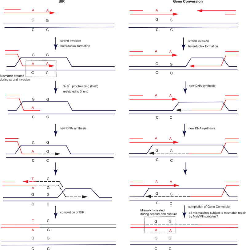 Extended Data Figure 7