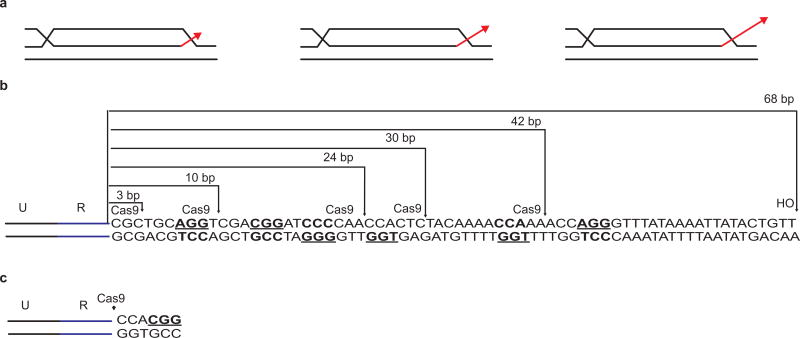 Extended Data Figure 5