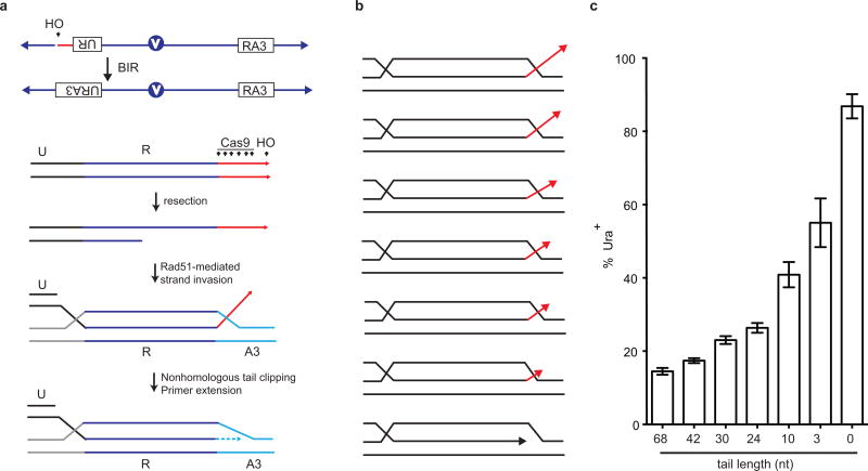 Extended Data Figure 4