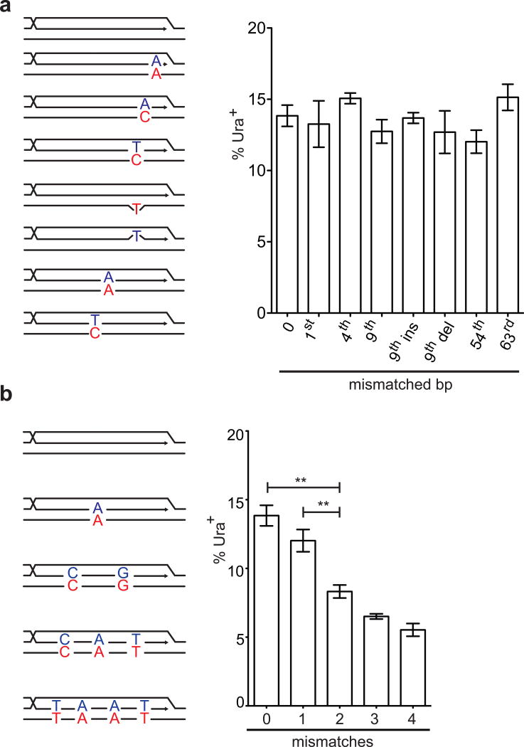 Extended Data Figure 1