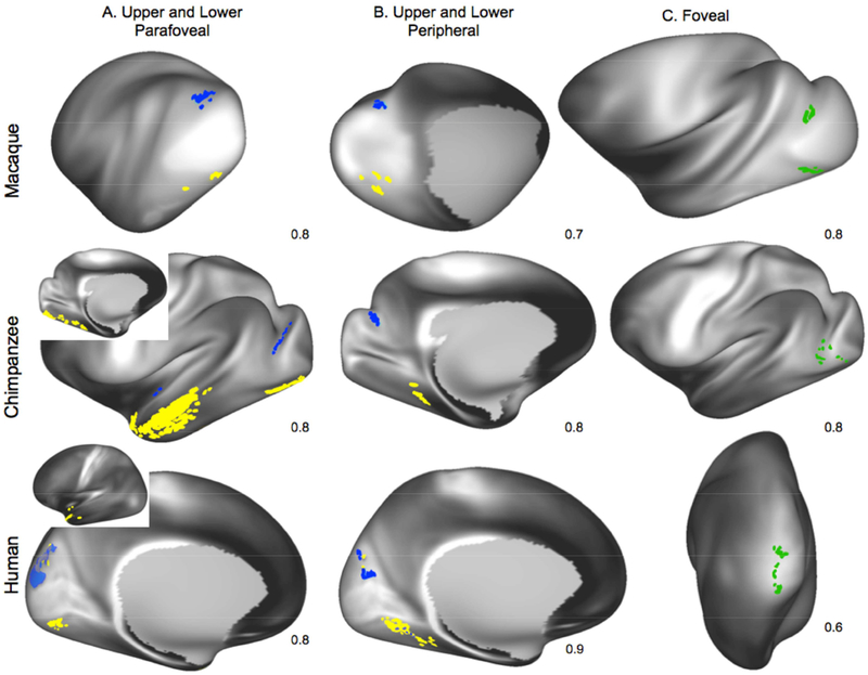 Figure 6: