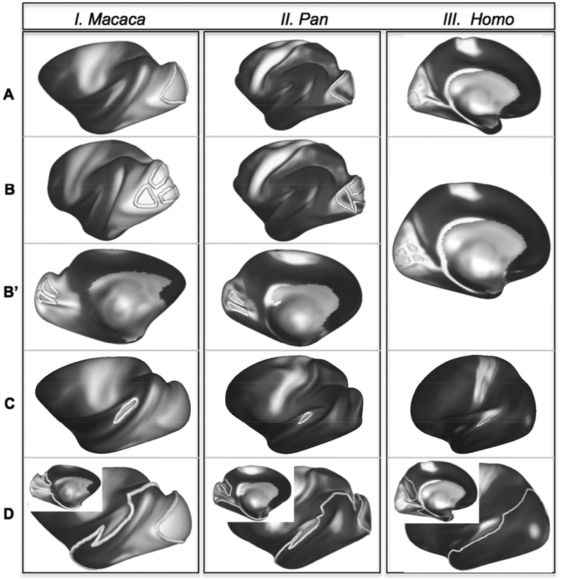 Figure 3: