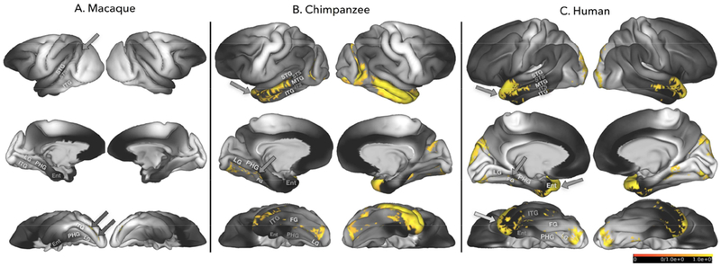 Figure 5: