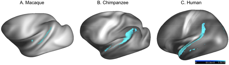 Figure 7: