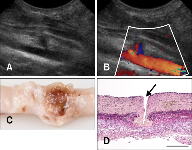 Fig. 5