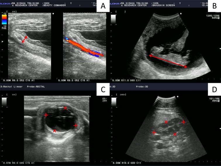 Fig. 2.