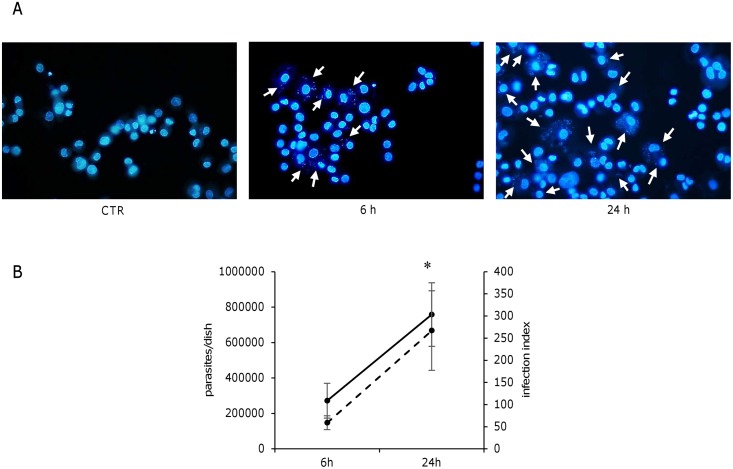 Fig 1