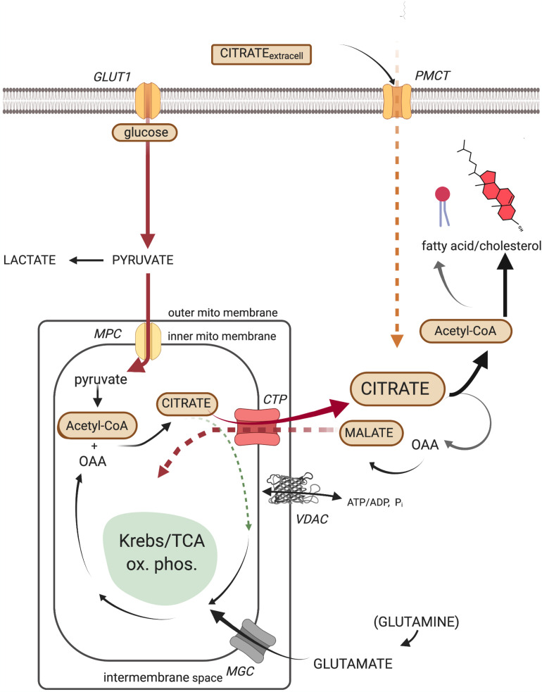 FIGURE 1