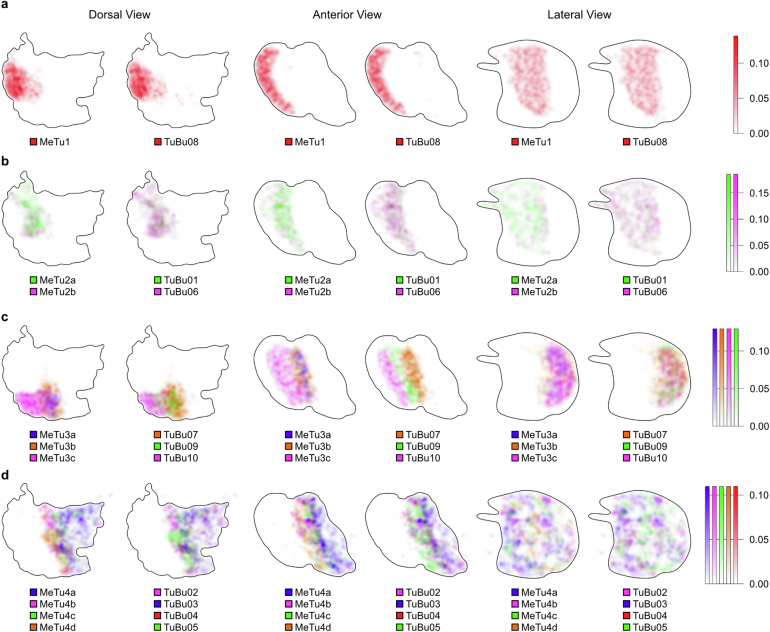 Extended Data Fig. 3