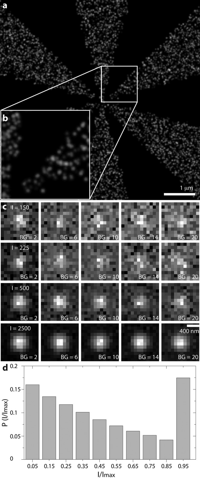 FIGURE 1: