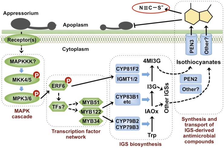 Figure 13.