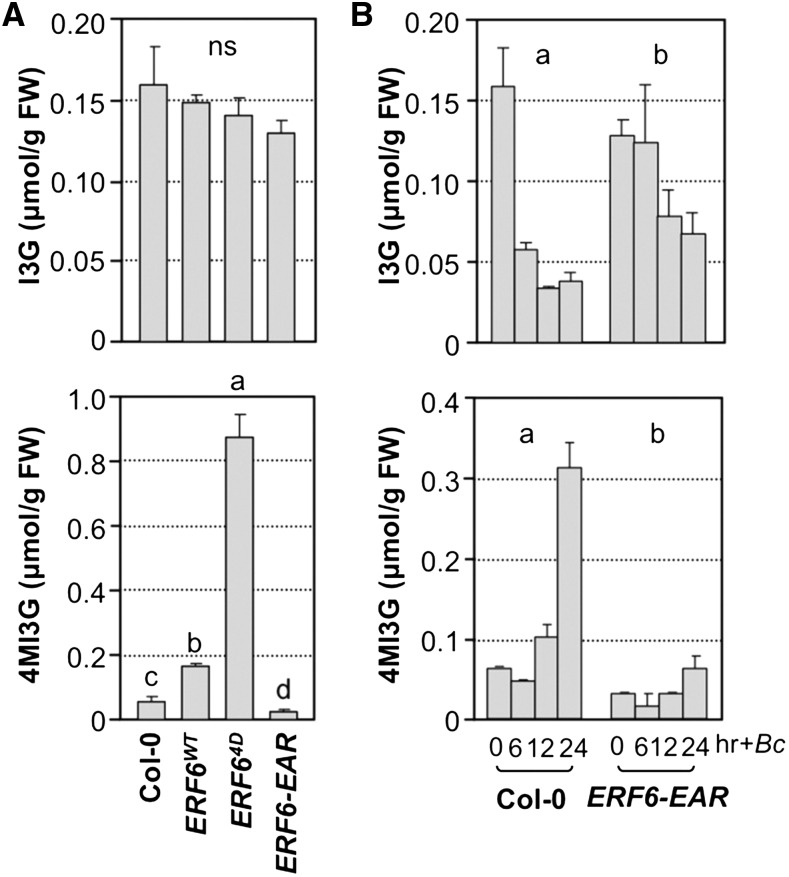 Figure 10.