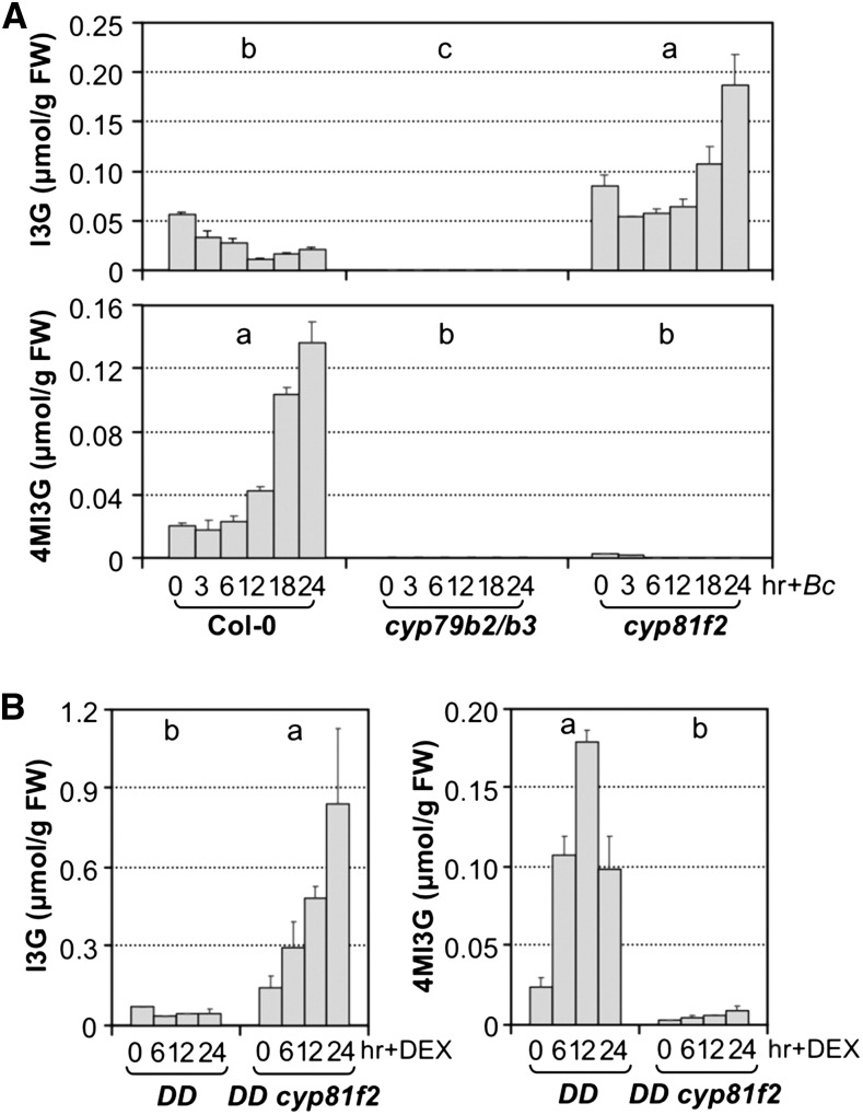 Figure 7.