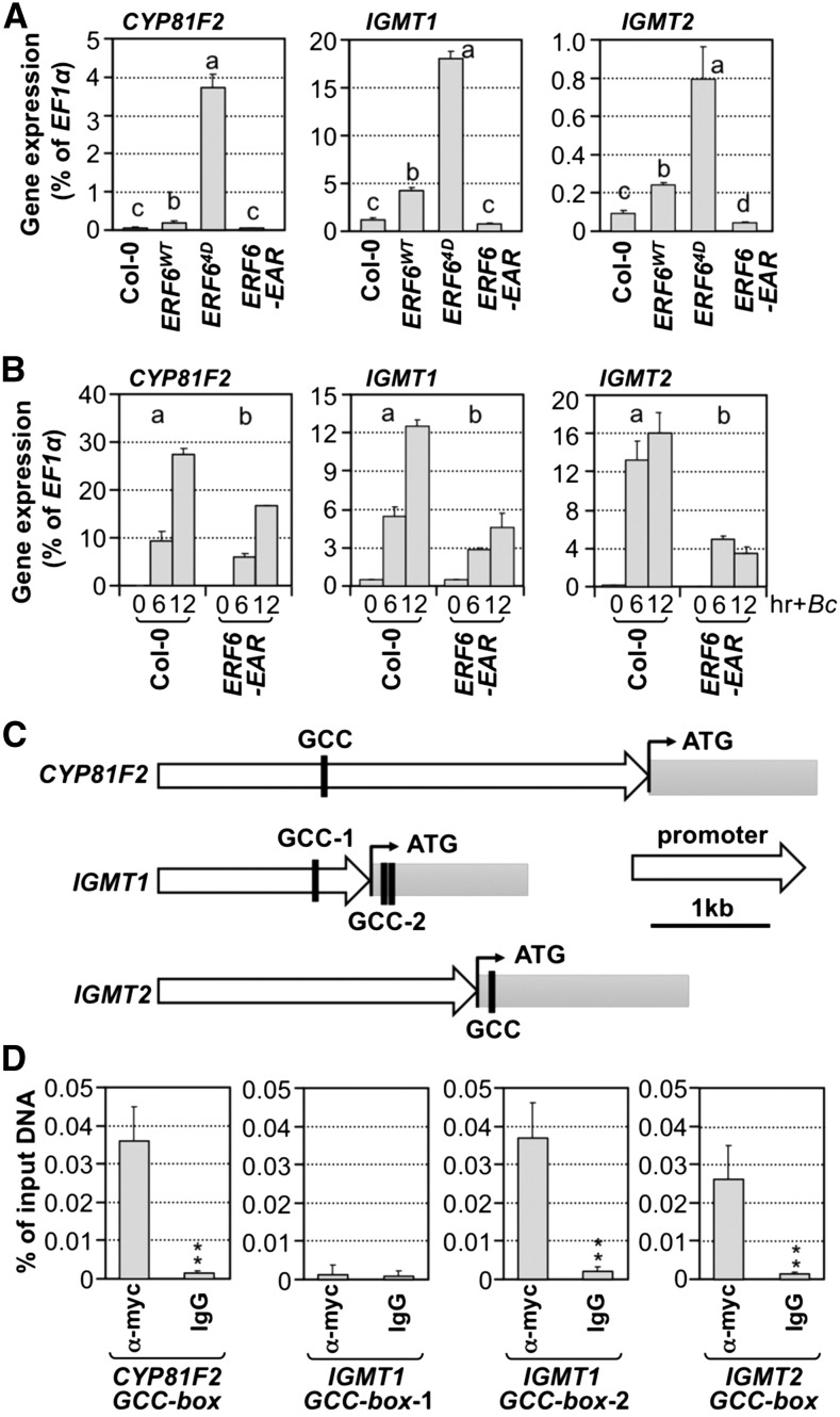 Figure 11.