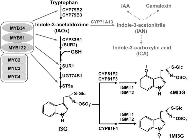 Figure 2.