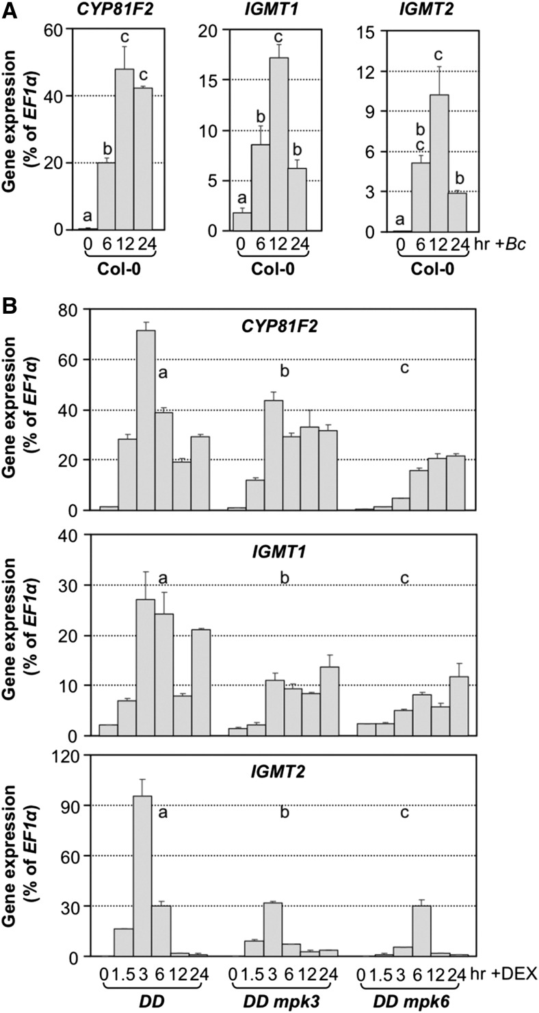 Figure 5.