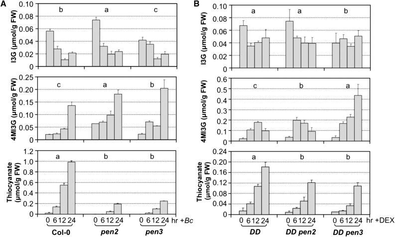 Figure 12.