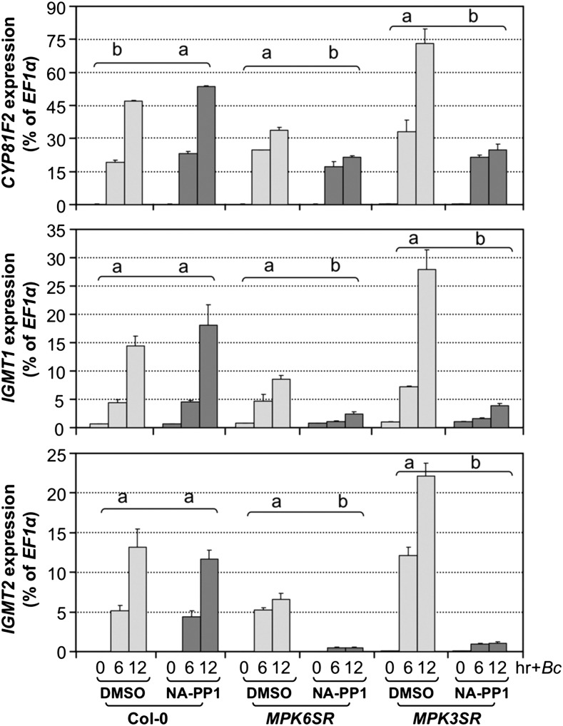 Figure 6.