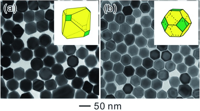 Fig. 10