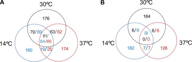 FIG 1 