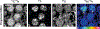 Fig. 1 |