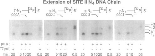 graphic file with name pnas01076-0322-a.jpg