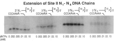 graphic file with name pnas01076-0321-a.jpg