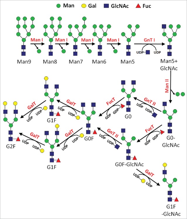 Figure 1.