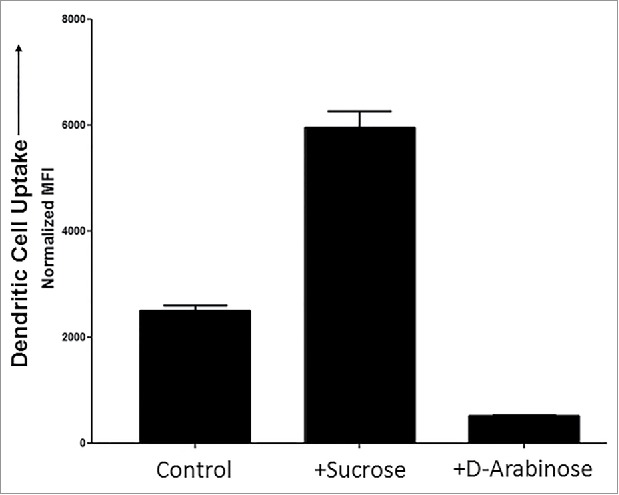 Figure 10.