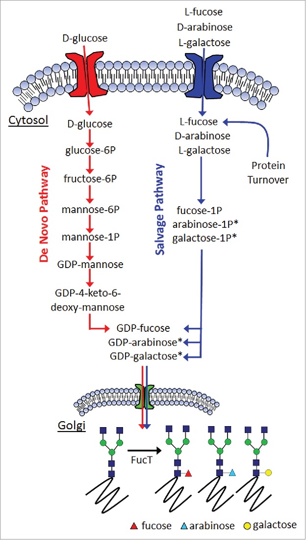 Figure 2.