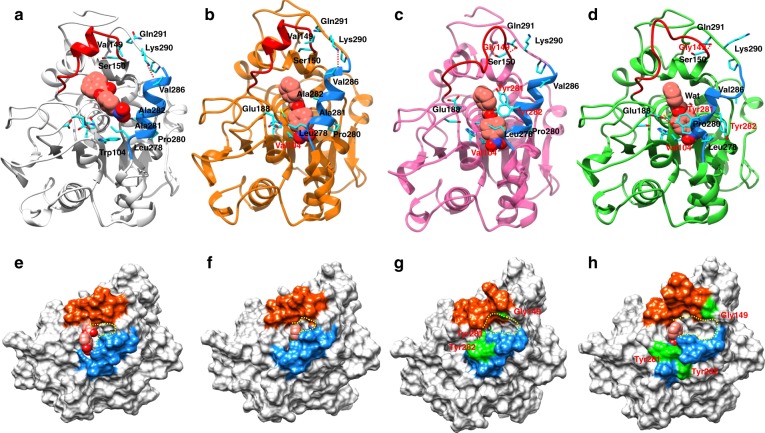 Fig. 4