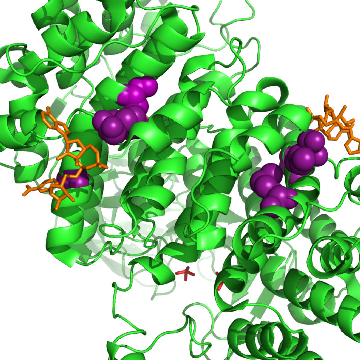 Figure 11—figure supplement 1.