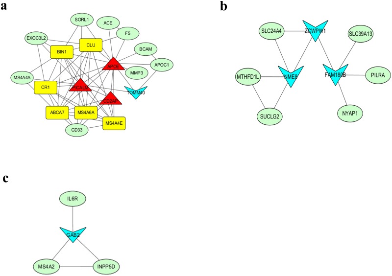 Fig 5