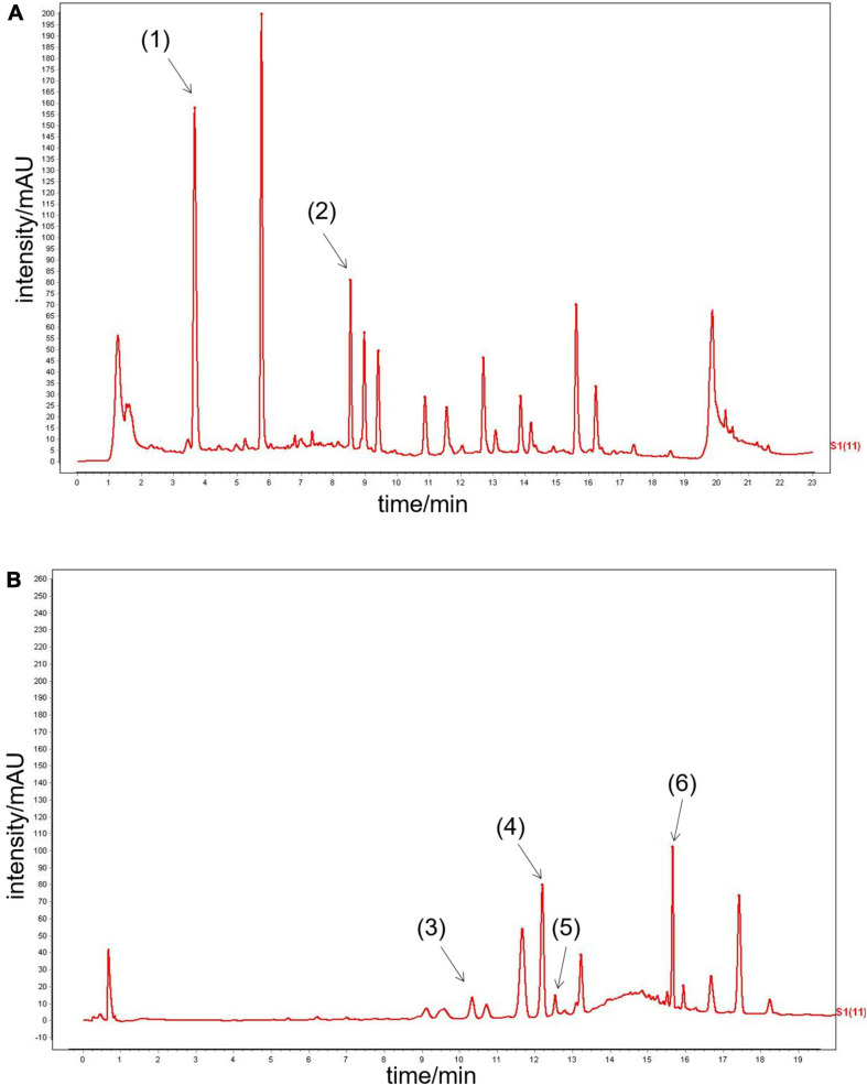 FIGURE 1