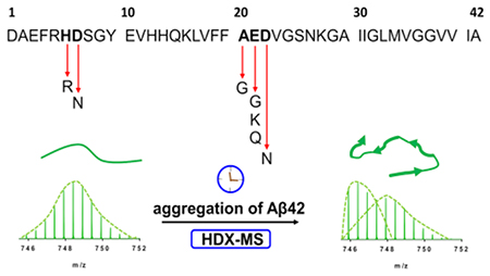 graphic file with name nihms-1781916-f0006.jpg