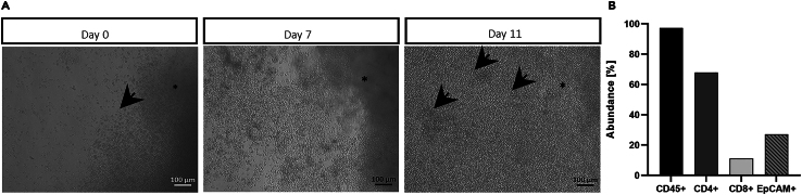 Figure 4