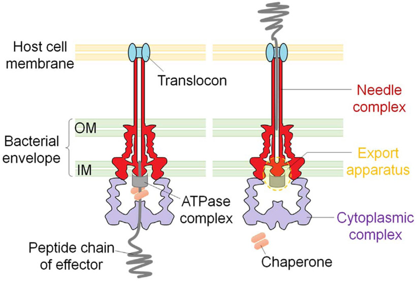 Fig. 1.