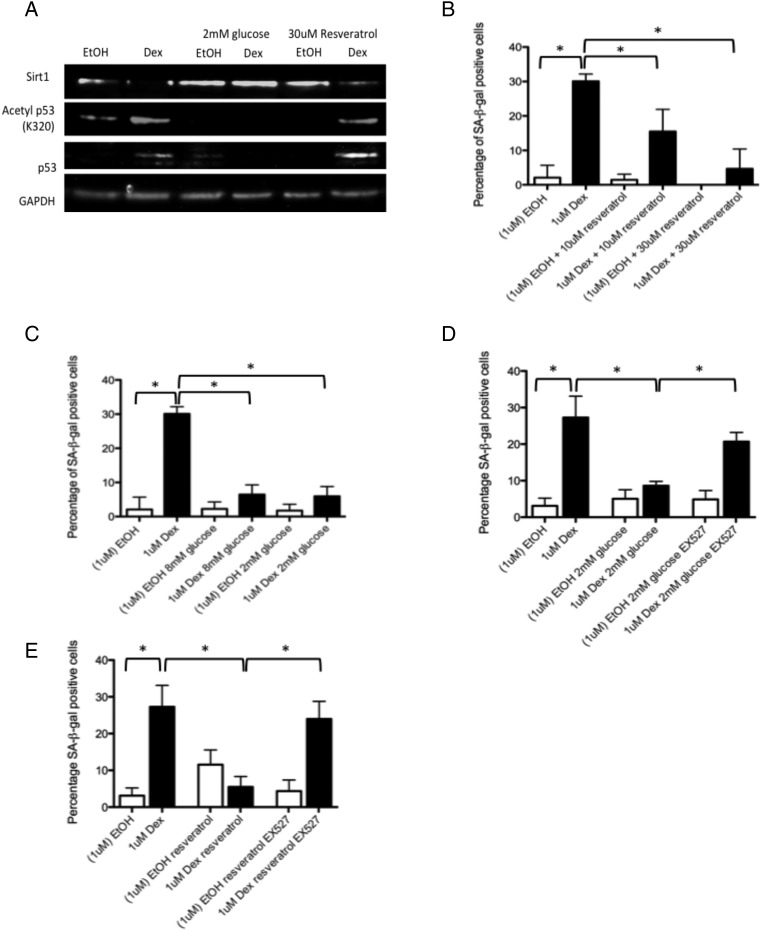 Figure 4