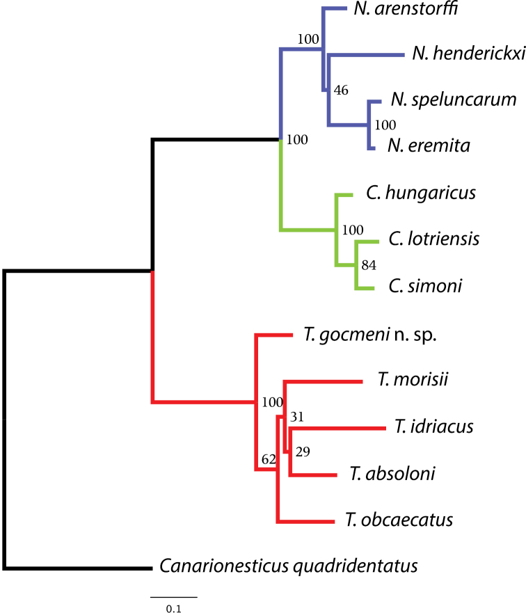 Figure 1.