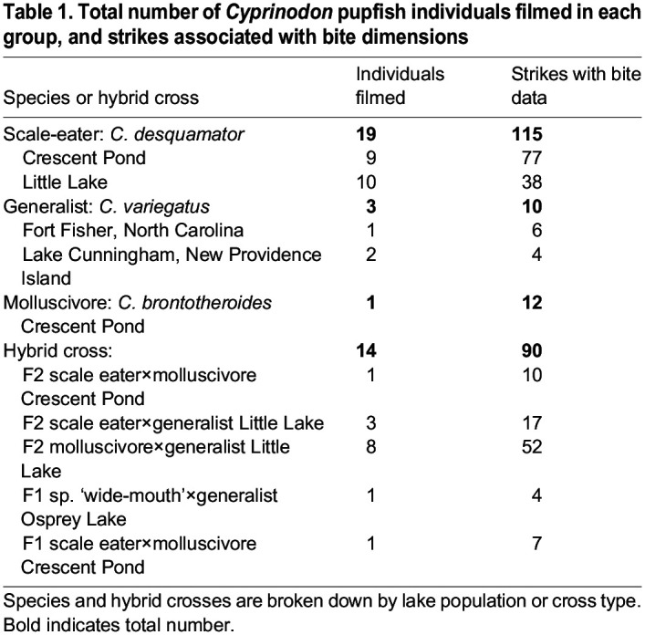 graphic file with name jexbio-227-247615-i1.jpg