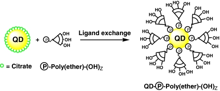 Fig. 29