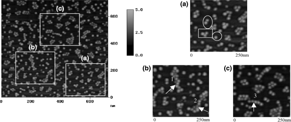 Fig. 23