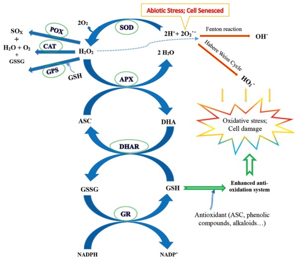 FIGURE 2