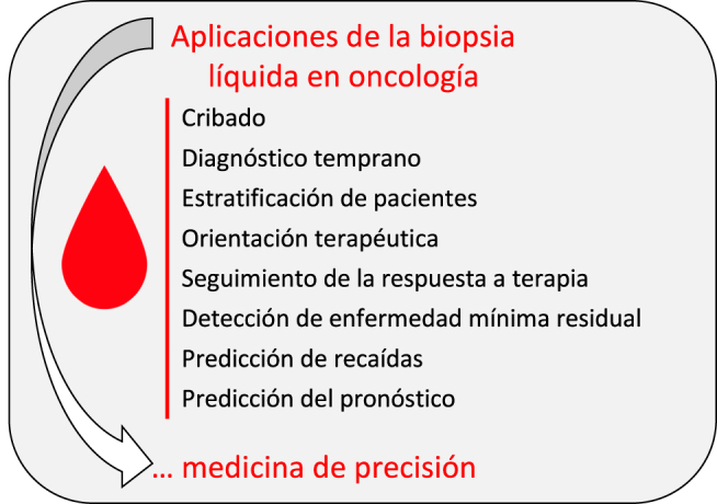 Figura 2: