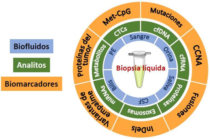 Figura 1: