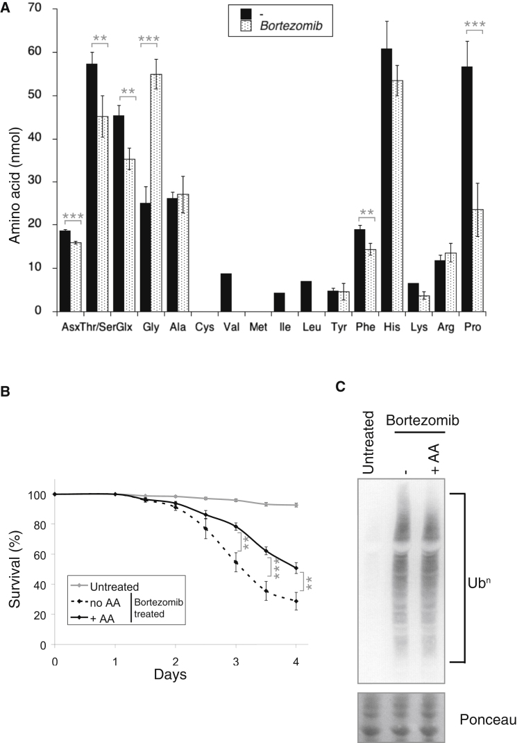 Figure 6